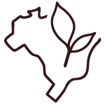 Icons acfe-05